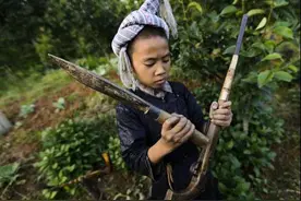 中国唯一一个允许持枪的部落：岜沙苗寨图片