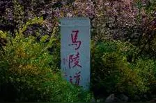 海州往事 | 孙庞斗智与古马陵道图片