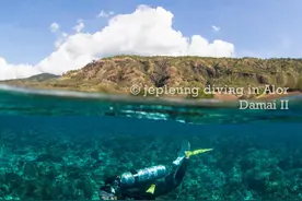 看旅博｜浮潜比水肺潜水更安全？错了！这里有潜水常识全介绍图片