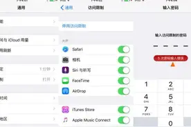 iPhone访问限制密码忘记了？教你如何重置图片