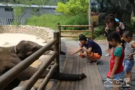 北京野生动物园喊话：我不是它，我绝对安全！ 丨 热点图片