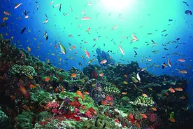 青岛10个区市哪里最适合居住？你说了算！图片