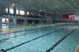 苏州独墅湖体育中心游泳池出现莫名小虫图片