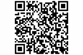 华南路灯杆刷漆出新图片