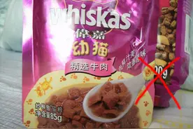 喂养狗狗的禁忌及注意事项图片