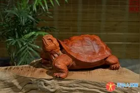 道教神龟出水图片