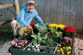 这个美国老大爷发明的一米菜园，不仅让全家人吃上放心蔬菜，还拯救了全球百万人民！图片