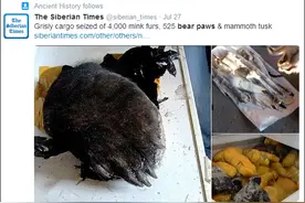 惊心 | 谁会消费这500+以上熊掌？图片