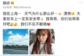 蔡妍发微博晒自拍，网友让其滚回韩国，蔡妍回复亮了图片