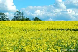 四川公布80家省级示范农业主题公园（内附各市州详细名单）图片