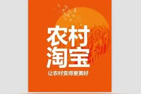 阿里巴巴村淘项目落户九台图片
