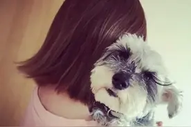 再多给他一次机会，你就会失望得更彻底图片