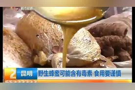野生蜂蜜可能含有毒素 食用要谨慎图片