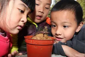 校长抓回一条“阿里山山椒鱼”，前肢有4指，后肢有5趾图片