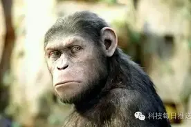 警惕，QQ这个功能千万不要用！否则你会被自己吓晕了！图片