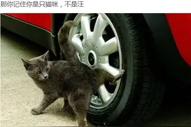 幽默笑话：那些医院里的逗比医生糗事图片