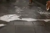 搞笑GIF：直播UP主，挑战中国生产的风油精，宝宝懵逼了！图片