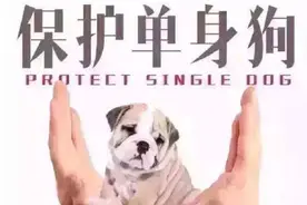 就今天，单身汪的朋友圈放大招了。图片