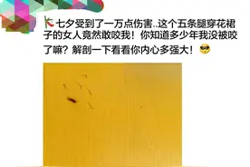《聚蚊谣》大国外交靠蚊帐图片