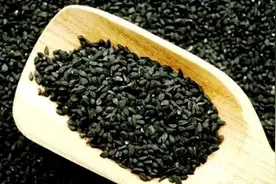 黑种草: 除了无法起死回生外能治百病的良药图片