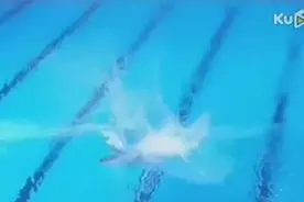 当跳水遇上BGM，听说最近这个视频最近很火图片