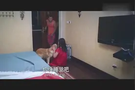 千万别把狗养在卧室，它不怕鬼，但是能看见鬼