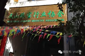 文山珠宝行业协会正式成立，文山珠宝行业将从零散经营迈向抱团发展的新阶段图片