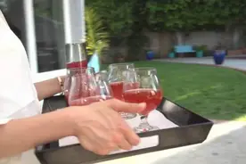 超实用的全自动果汁机 与这个夏天很搭图片