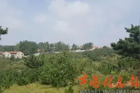 山东莱西饮用水源地北墅水库：上游建猪场，底下在采沙图片