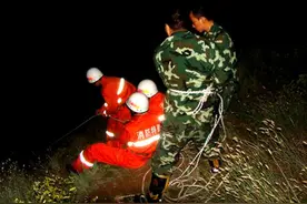 你小时候你抓过蝎子吗？尤其是来自北方农村的孩子图片