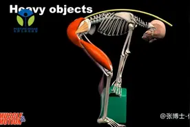 「动作修正」搬重物时正确的动作模式，不注意这些腰很容易受伤视频封面