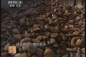 几百万的石头，竟拿来做地基图片