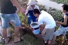 男子往老鼠窝灌水，鼠窝口用网盖住，出来一只抓一只！图片