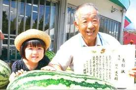 超大的巨型西瓜不能吃，农民种了谁来买？图片