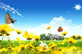 蒲公英——放飞梦想图片