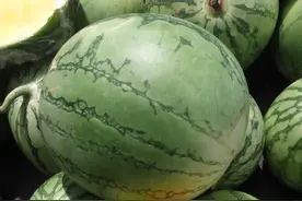 有种西瓜肉是这种颜色的 还卖8元一公斤 农村孩子肯定没见过图片