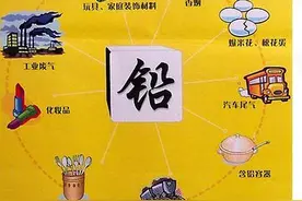 育儿分享：孩子体内铅元素超标怎么办？图片