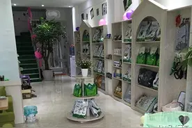 宠物店加盟和自营宠物店的区别是什么图片