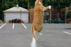 车厢内放屁而不被别人发现的奥义图片