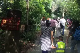 参观广州最贵幼儿园后，这位工薪族妈妈决心这样做图片