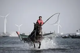 寻奇之旅上的“海蜇暴动”  然而却也即将消失图片