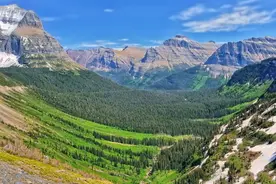 我甚是想念你图片