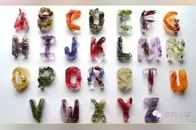 趁着夏天还没走，diy一个高颜值冰块儿！图片