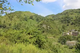 带女朋友回农村老家，她不太习惯，但满眼绿色，我觉得很好图片