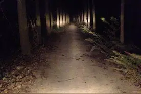 回家路上竟然遇见鬼打墙...图片