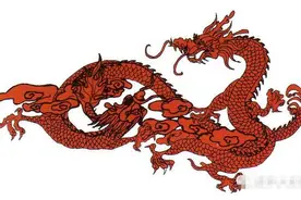 资中工业园区惊现不明生物！传闻是龙！真相到底是什么？图片