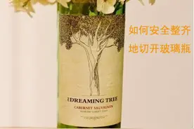 DIY--教你用小窍门儿完美切割酒瓶 做个完美的花瓶图片