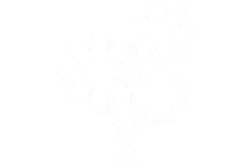 奥运会表情包告诉你，心脏需要什么“补品”？图片