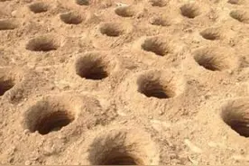 浙江山村挖出红宝石?挖宝人徒步进山 不分白天黑夜图片