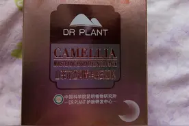 山茶花，我补水保湿的“代言人”图片